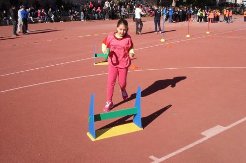 DSC05610