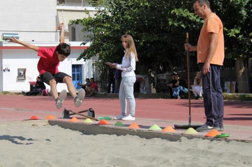 IMG 0416