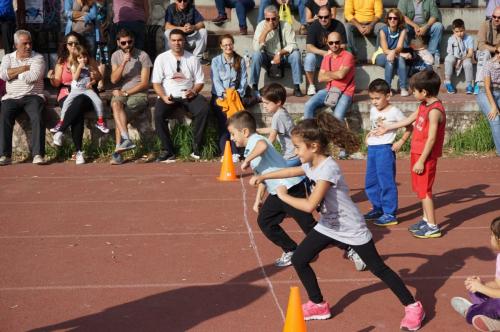 Θεμιστόκλειο Σχολικοί αγώνες Στίβου 18-10-2015 (73)